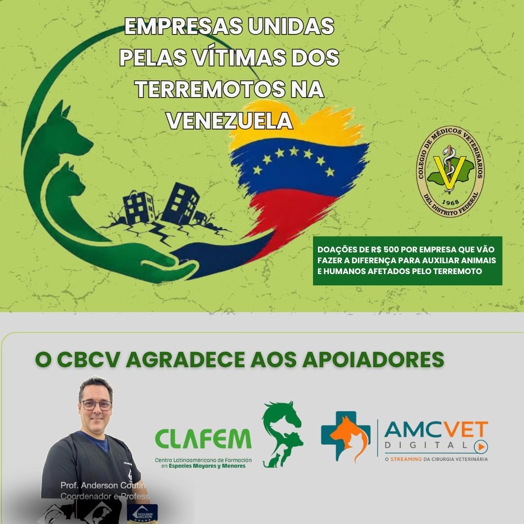 terremoto na venezuela